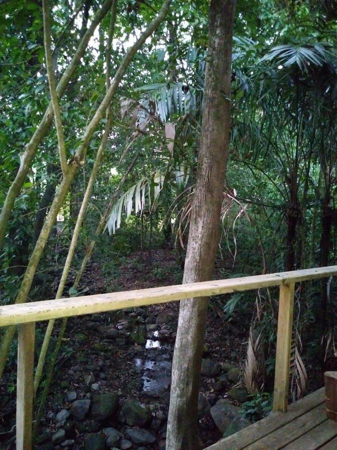 Hospedaje El Bosquecito อูวีตา ภายนอก รูปภาพ