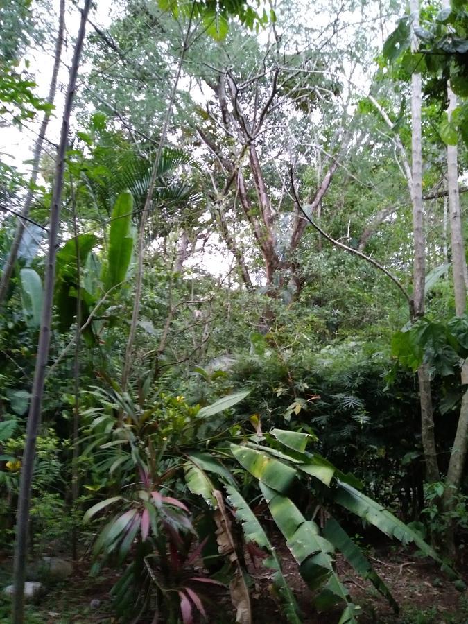 Hospedaje El Bosquecito อูวีตา ภายนอก รูปภาพ