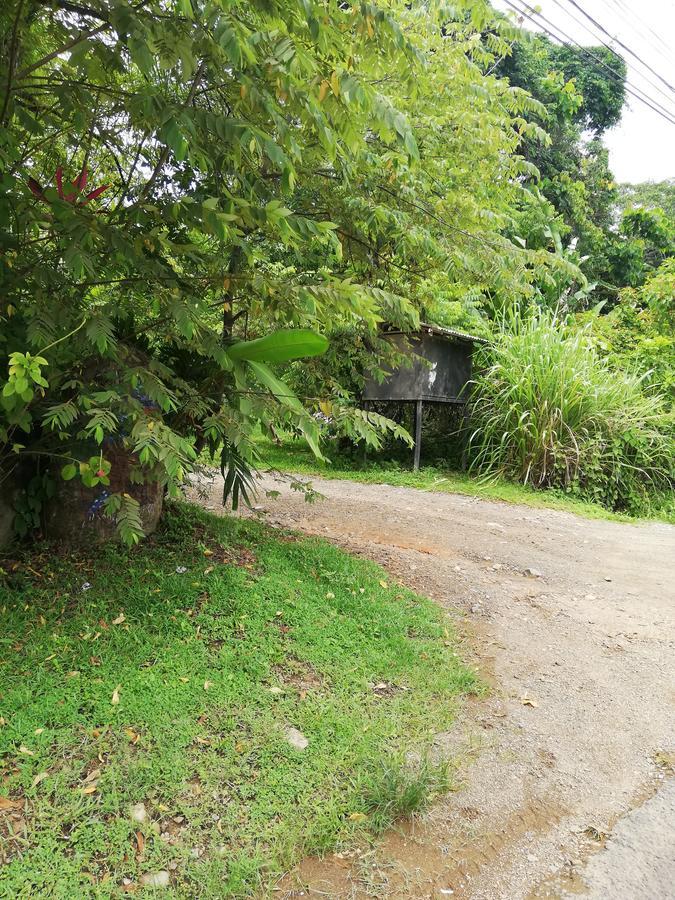 Hospedaje El Bosquecito อูวีตา ภายนอก รูปภาพ