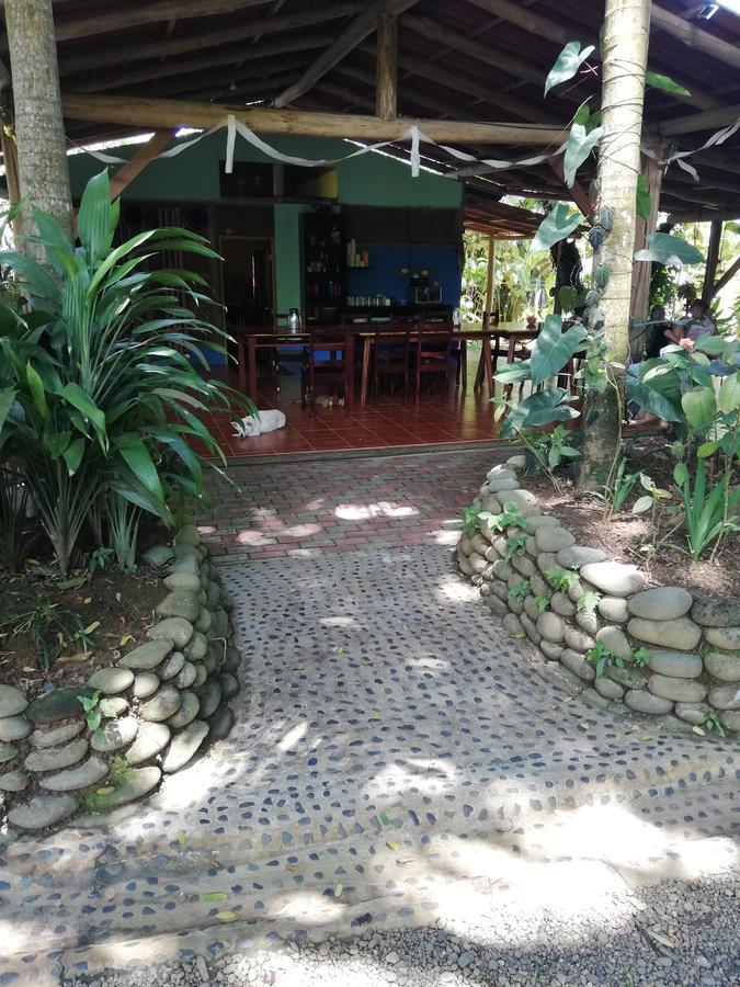 Hospedaje El Bosquecito อูวีตา ภายนอก รูปภาพ