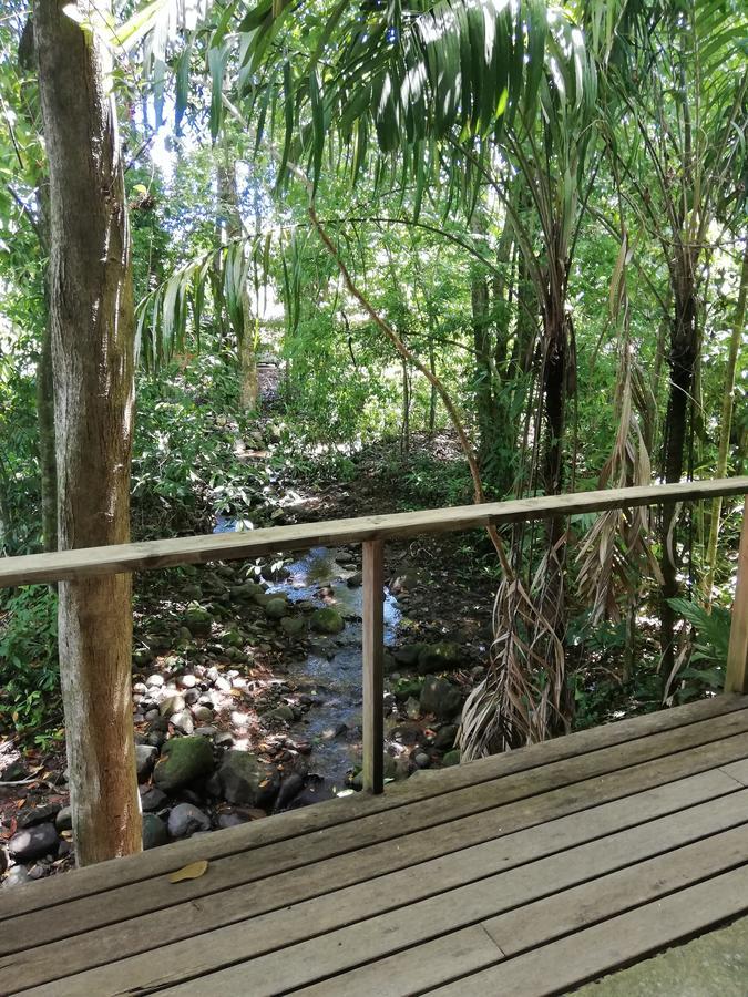 Hospedaje El Bosquecito อูวีตา ภายนอก รูปภาพ