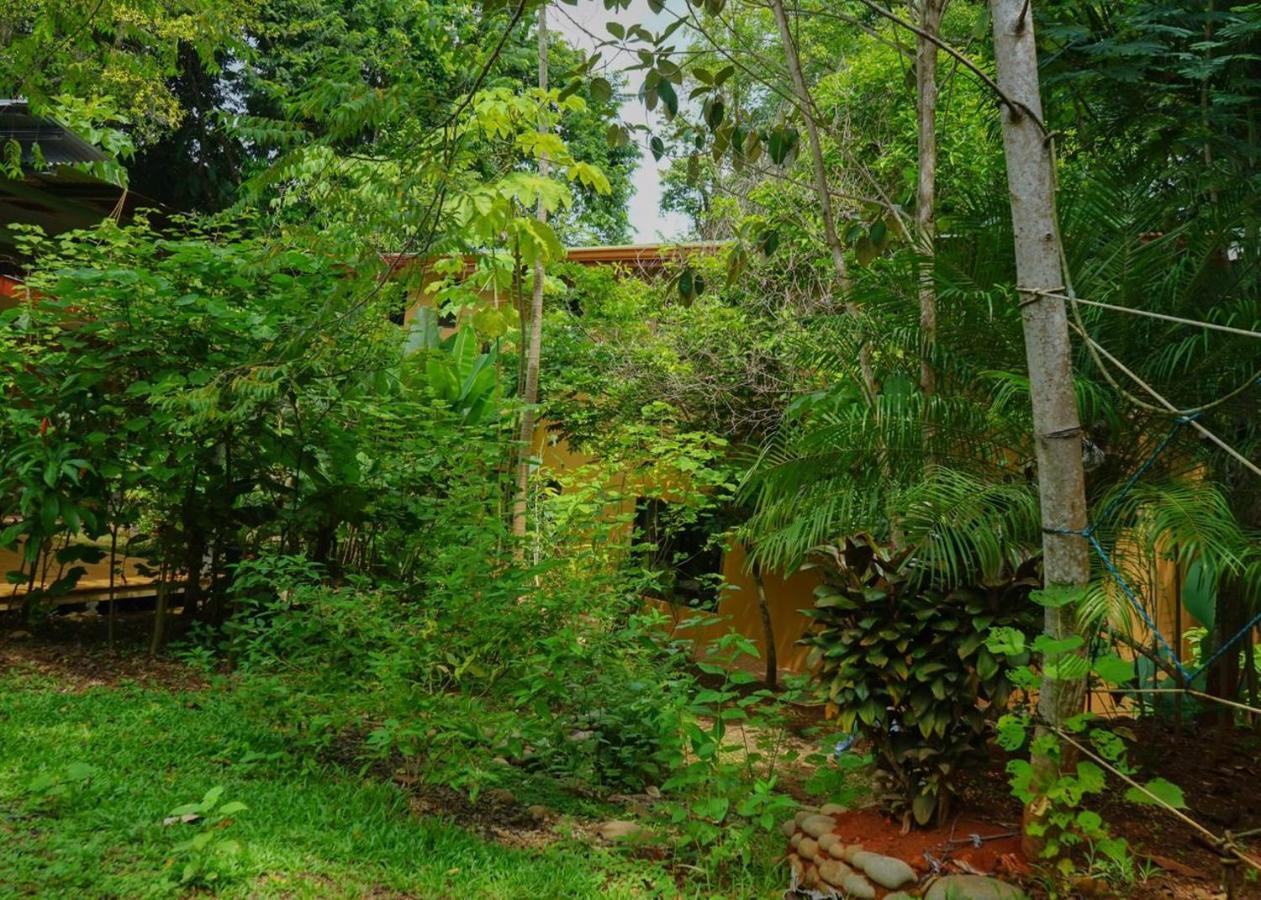Hospedaje El Bosquecito อูวีตา ภายนอก รูปภาพ