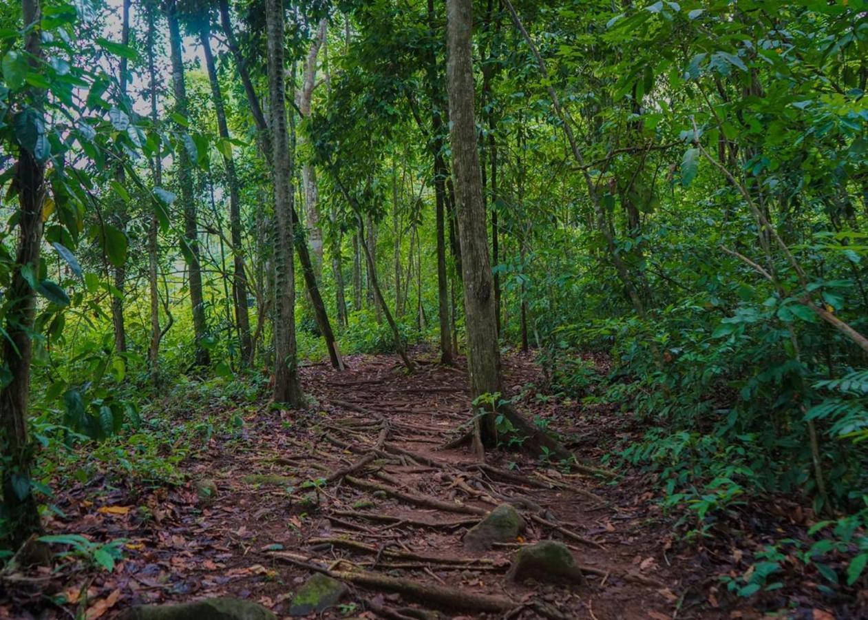 Hospedaje El Bosquecito อูวีตา ภายนอก รูปภาพ