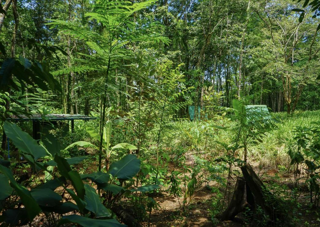 Hospedaje El Bosquecito อูวีตา ภายนอก รูปภาพ